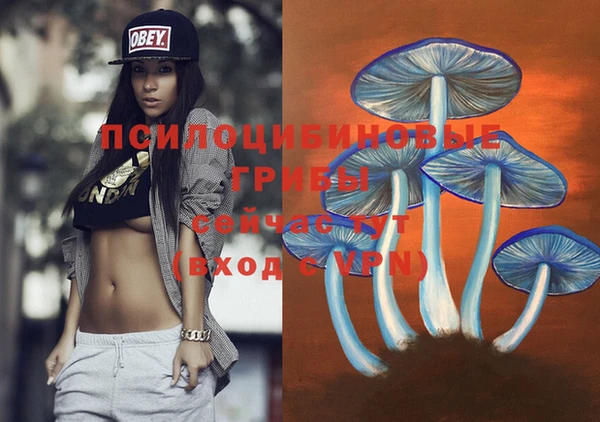 меф VHQ Козловка